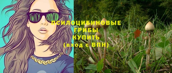 spice Алексин