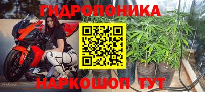 молекула духа Кулебаки