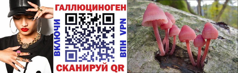 даркнет какой сайт  Коломна  Псилоцибиновые грибы мицелий 
